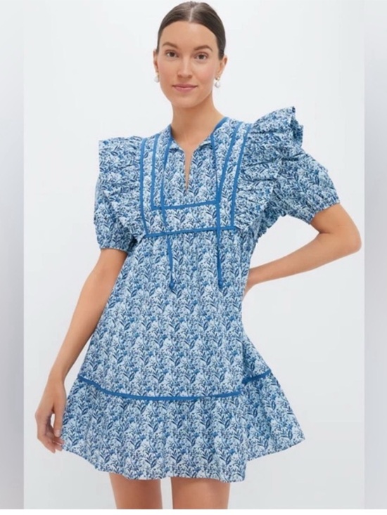 Hyacinth House Dresses & Skirts - Hyacinth House, Tuckernuck, Blue Floral Rosalie Mini Dress, NWT